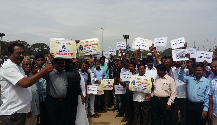 Jallikattu Protest